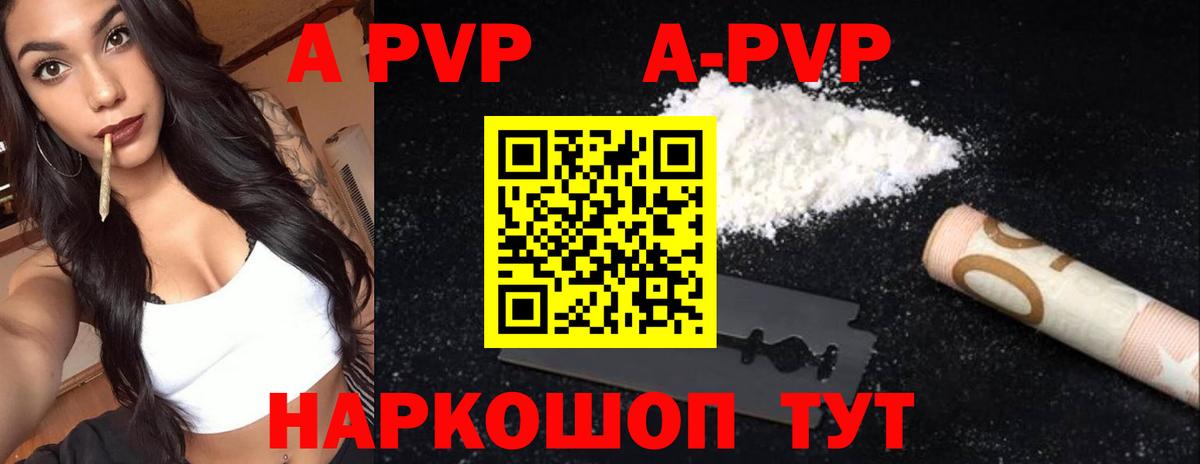 A PVP СК КРИС Ижевск