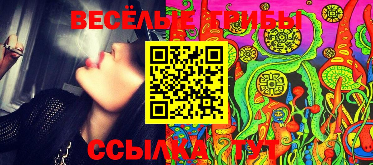 Ижевск  Псилоцибиновые грибы мухоморы  Вход с VPN 